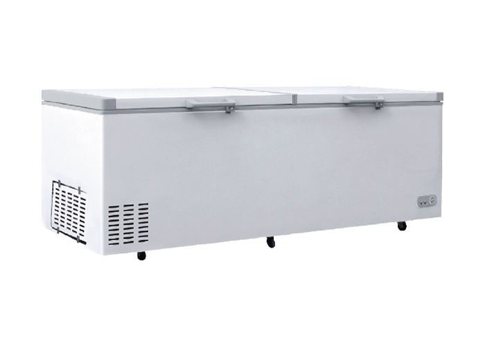 BCBD-1379S.jpg